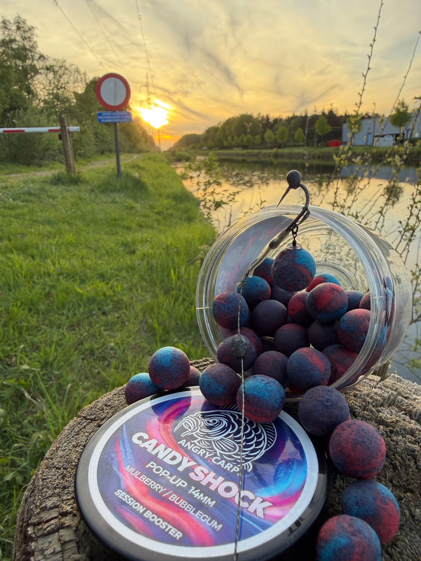 Candy Shock 14mm Pop-ups – Zoete & Opvallende Hookbait voor Karpervissen