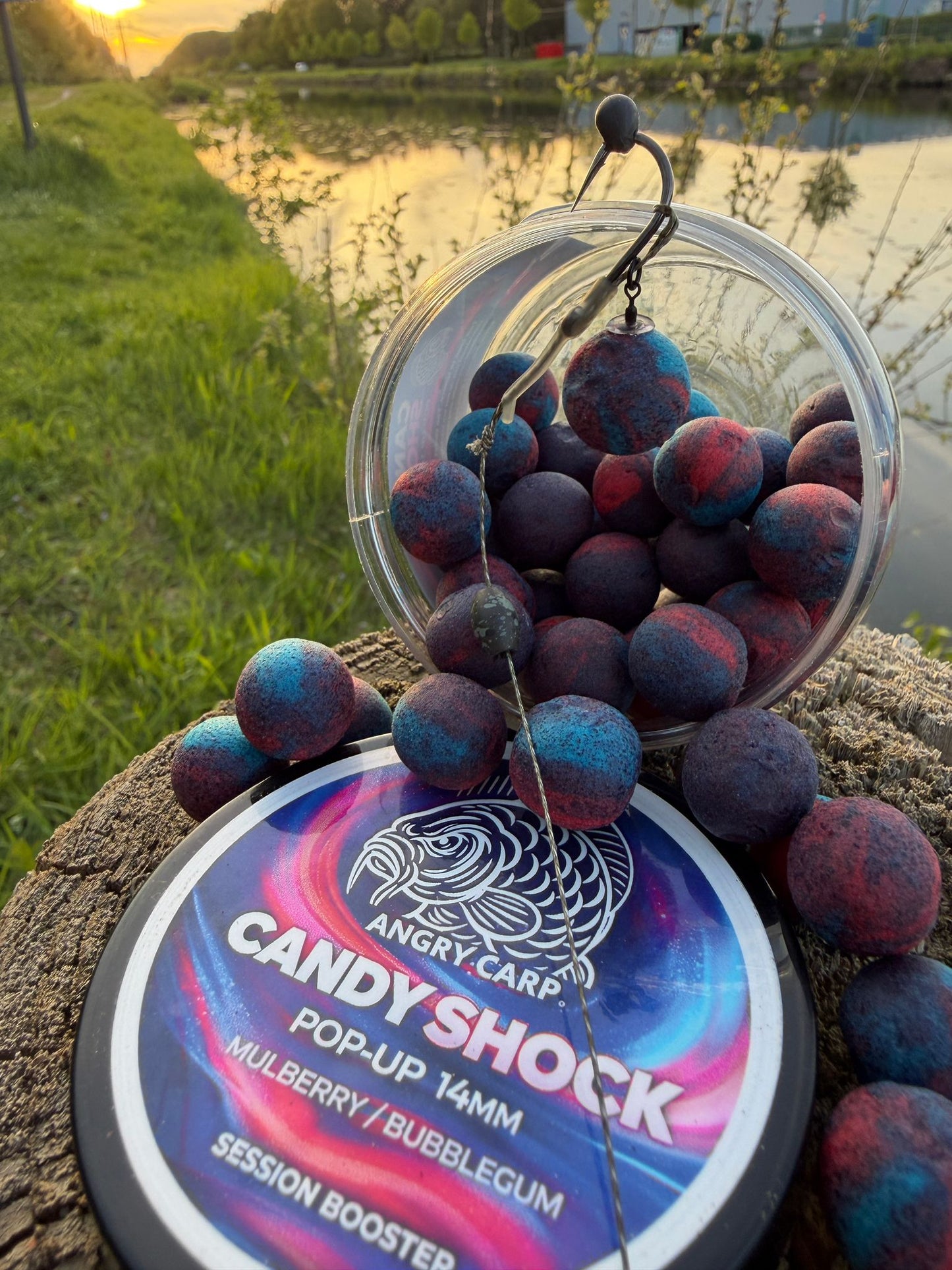 Candy Shock 14mm Pop-ups – Zoete & Opvallende Hookbait voor Karpervissen