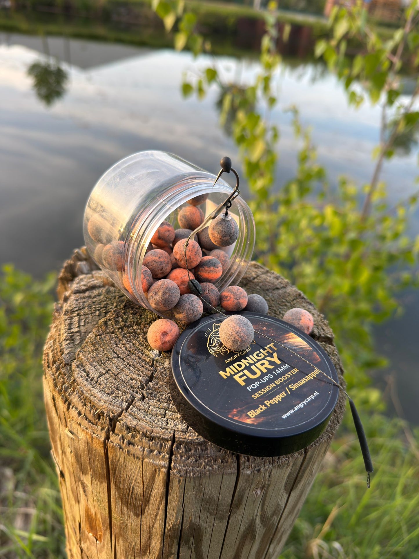Midnight Fury 14mm Pop-ups – Donkere & Pittige Hookbait voor Karpervissen